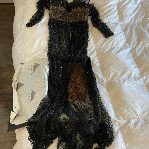 Albina Dyla Custom Gown - Picture 8 of 8